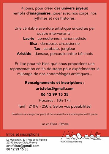 Stage - Cirque et théâtre pour les 8-16 ans