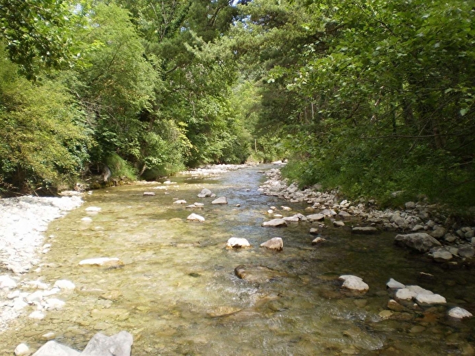 La rivière La Sûre coule en limite du domaine. Baignades appréciées des enfants et fraîcheur assurée