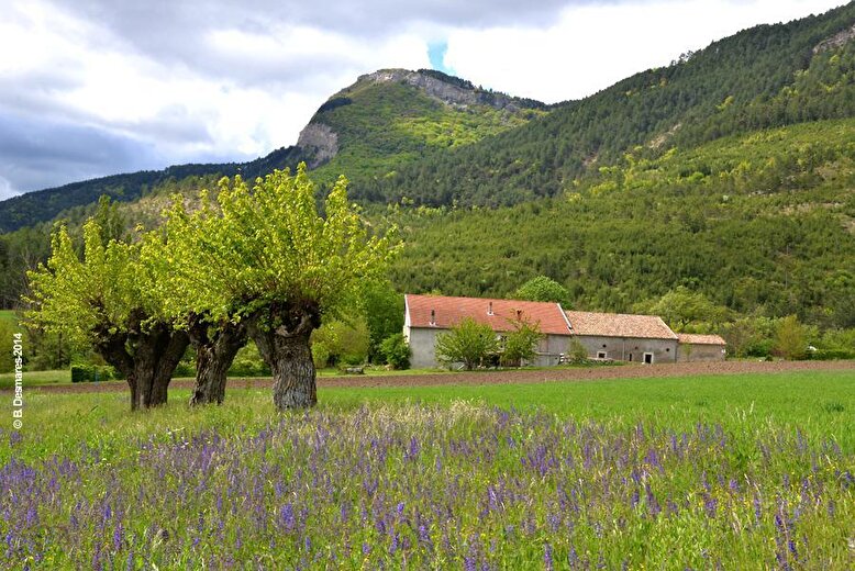 Les bâtiments de notre ancienne ferme depuis le chemin d'accès avec la montagne de Solaure en arrière plan