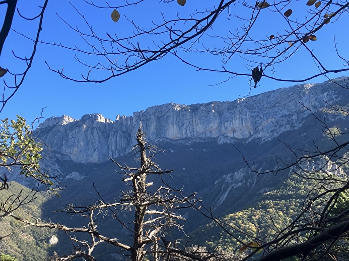 Falaises du Vercors
