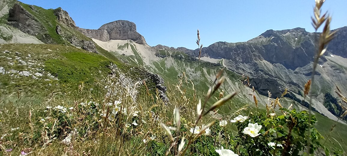 Christophe Pelet - Mountain Guide