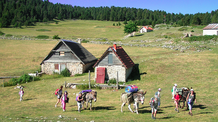 De crêtes en plateaux avec des ânes