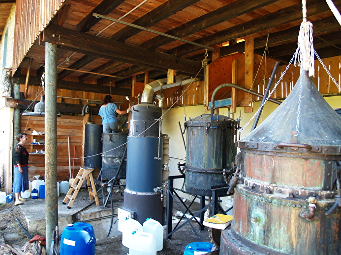 Ferme-Distillerie de la Louine - Solaure