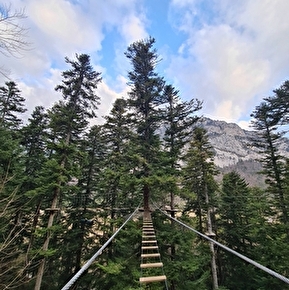 Passerelle Bois
