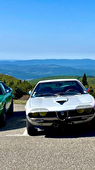 Rassemblement Auto Vintage
