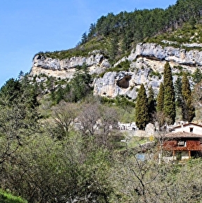 le gite dans son écrin de nature