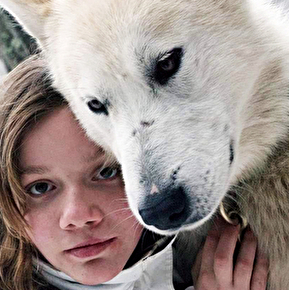 Le traineau à chiens une activité qui peut se pratiquer à tous les âges