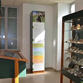 L'Abbé Froment Fossils Exhibition