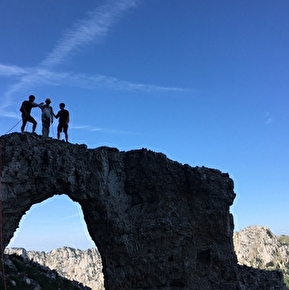 Sur l'arche