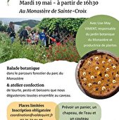 Balade botanique - Apéro sauvage