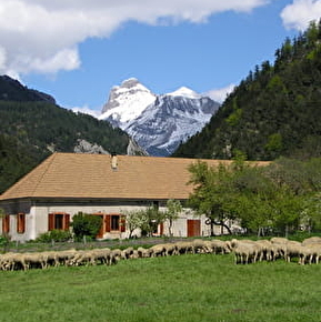 Hameau du Trabuëch