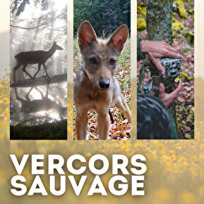 Projection animée - Vercors sauvage