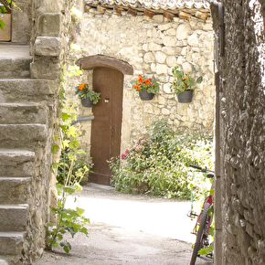 Viol de Châtillon-en-Diois