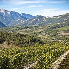 De Ferme en Ferme - GAEC des Adrets / Cave Maillefaud