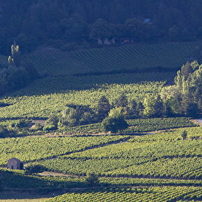 Vignobles de Châtillon en Diois, cabanons