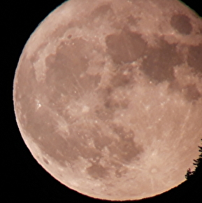 RandoLune en raquettes avec Christophe Pelet