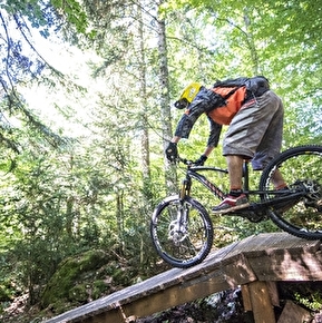 VTT de descente