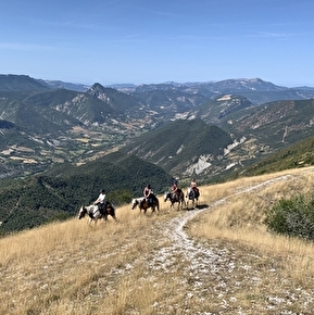 Horse Hacks with Cavalicimes