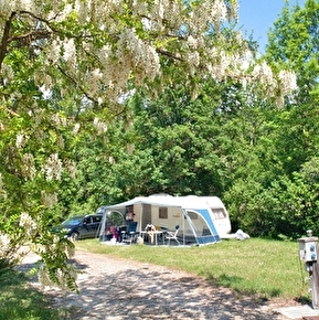 Caravane