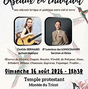 Concert musique classique - Oiseaux en chantant