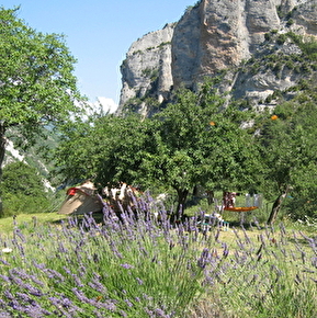 Vue générale