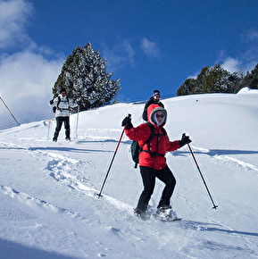 Randonnée en raquettes sur les Hauts Plateaux du Vercors