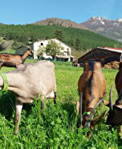 De Ferme en Ferme - La Ferme de La Tournelle