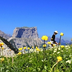 Le vallon de Combau