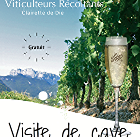 Visite guidée de la Cave Union des Jeunes Viticulteurs Récoltants (UJVR)