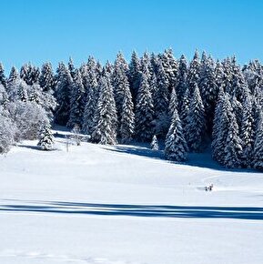 La plaine d'Herbouilly