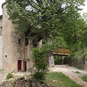 Bosgîte Grand Viopis
