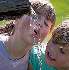Zwerven in de omgeving van Die: het hele gezin op stap met lastezels