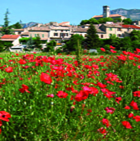 Le Village