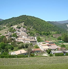Vignoble et village