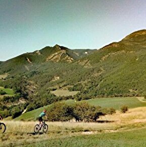 Le tour de Quint