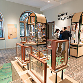 Cabinet de curiosité