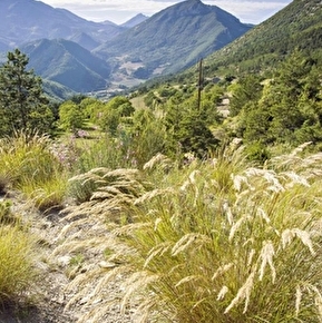 Le col du Lauzat