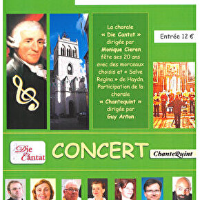 Concert - Die Cantat Fête ses 20 ans