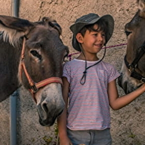 Location d'ânes avec Passe-Mont'Âne