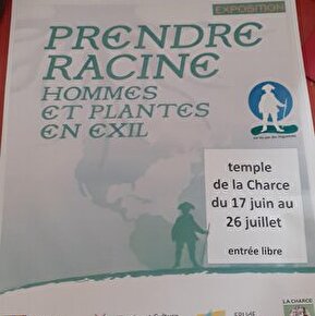 Exposition Prendre Racine hommes et plantes en exil 