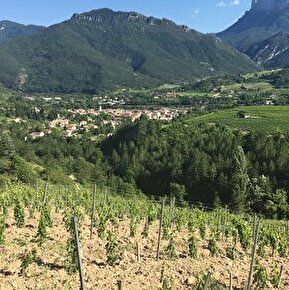 La Drôme de ferme en ferme - Domaine Jean Claude Raspail et fils