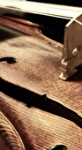 Concert - Les Indes Galantes de Jean-Philippe Rameau