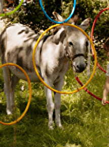 Agility Course with la Flânerie