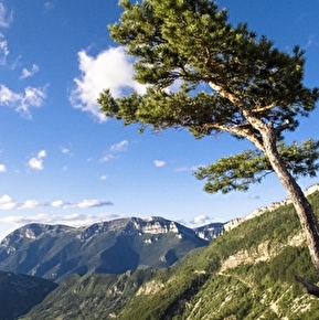 La Grésière