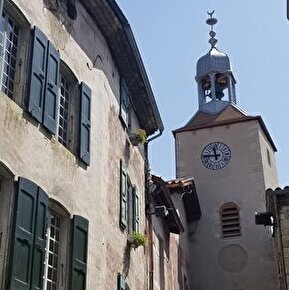 Visite guidée estivale de Châtillon-en-Diois, Village médiéval