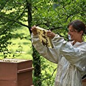 Baptème d'apiculture 2