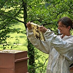 Baptème d'apiculture 2