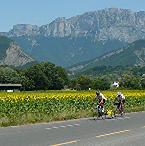 glandasse