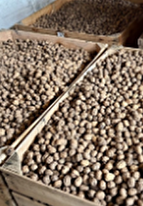 De Ferme en Ferme - La Ferme des Fourniers