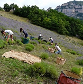 Ferme-Distillerie de la Louine - Solaure